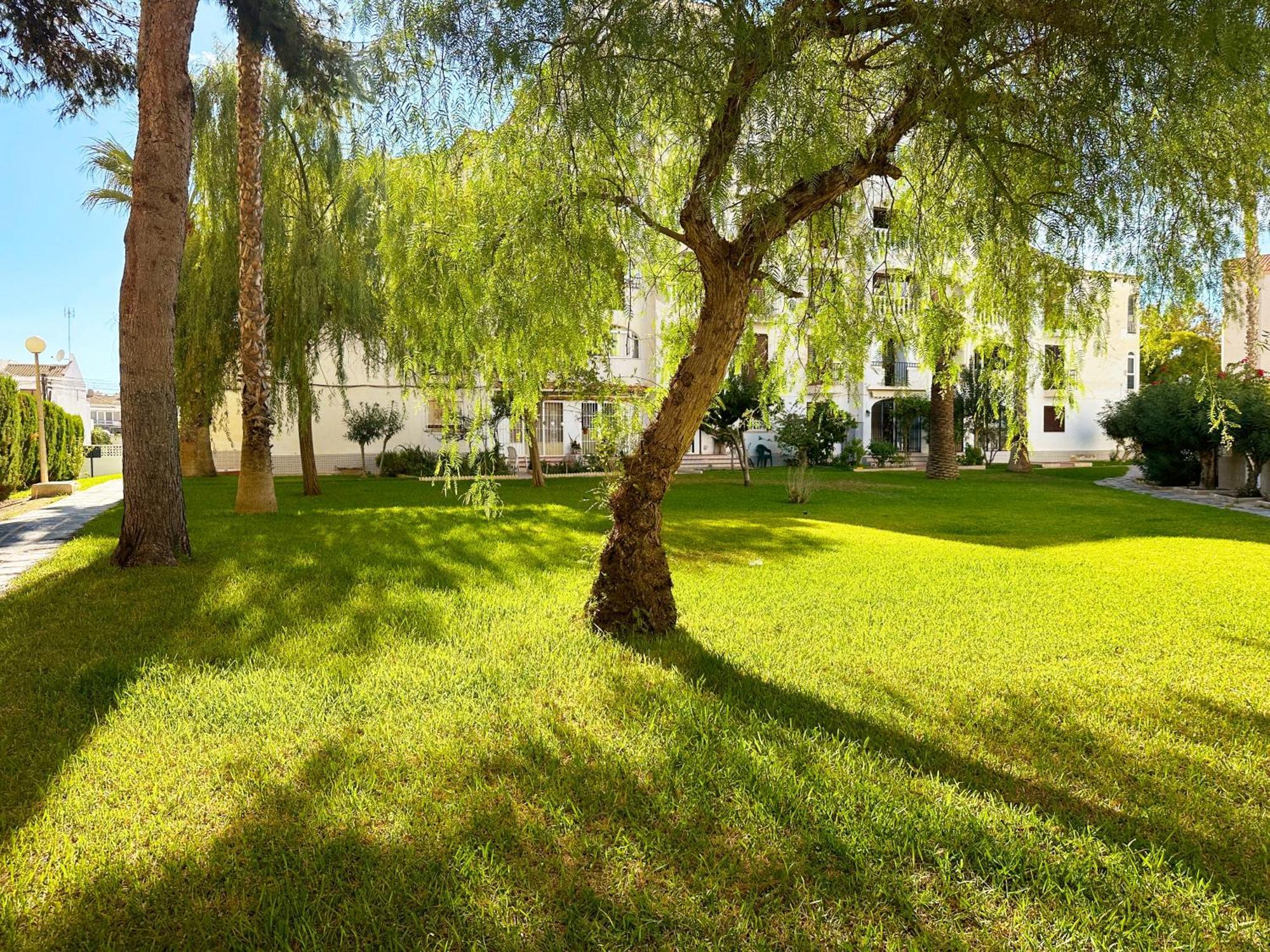 Calas Blancas Торевьиа Экстерьер фото